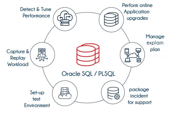 Oracle Plsql